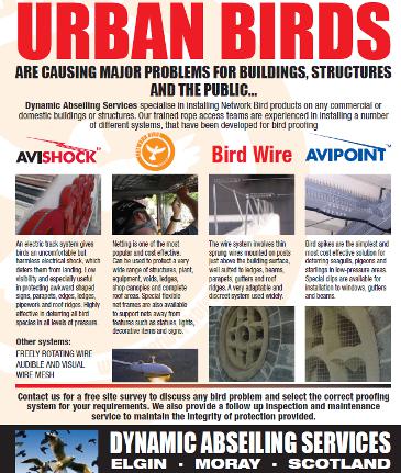 Birdproofing